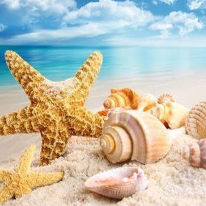 Meet your Posher, Elise